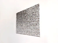 Nature sculpture by Ryan Weiss of Loamworks. 1000 Btanches. Charred maple tree branches on paper