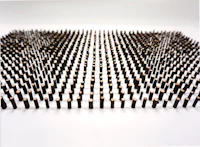 Nature sculpture by Ryan Weiss of Loamworks. 1000 Btanches. Charred maple tree branches on paper